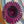 Load and play video in Gallery viewer, Disco Mandala Hat - Magenta + Silver Moons, size XL